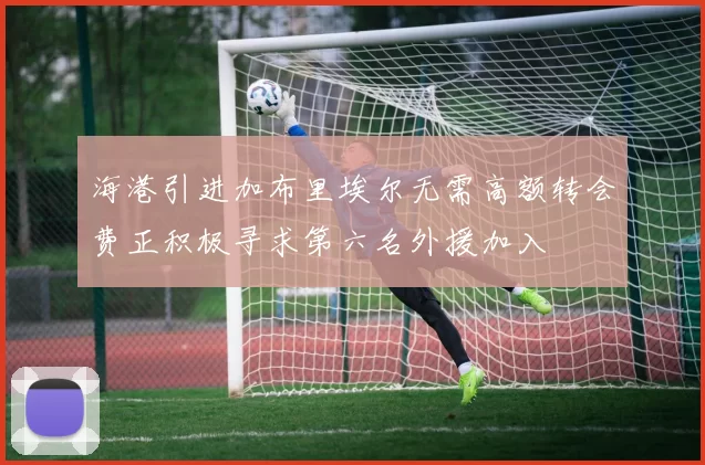 海港引进加布里埃尔无需高额转会费正积极寻求第六名外援加入