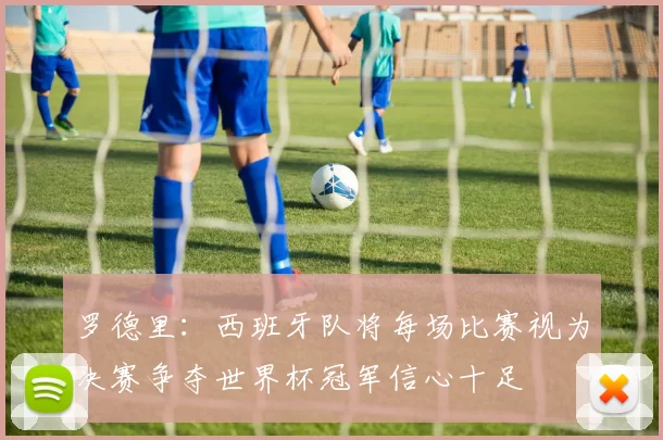 罗德里：西班牙队将每场比赛视为决赛争夺世界杯冠军信心十足